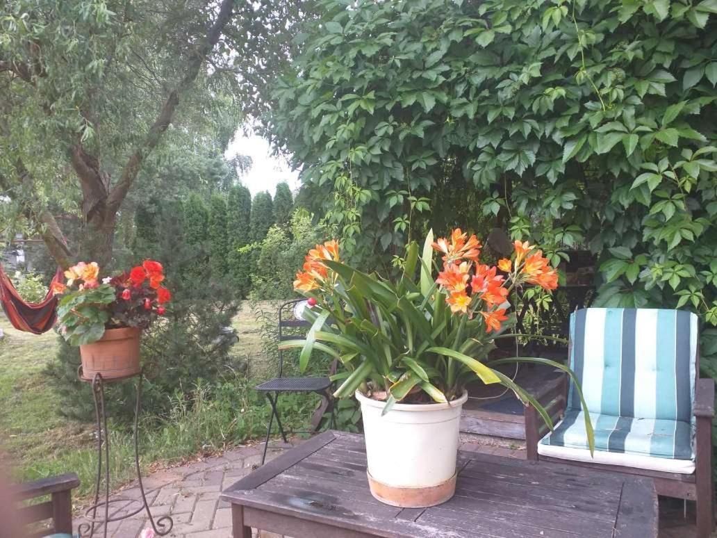 Guest House Pechersky & Sons Dreilini  ภายนอก รูปภาพ